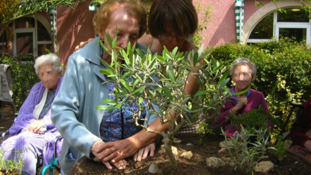 La pratique du jardinage ouverte aux personnes &agrave; mobilit&eacute; r&eacute;duite